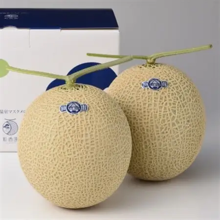 高級静岡温室マスクメロン2個入(化粧箱入)_メロン マスクメロン めろん 化粧箱 箱 2個 果物 くだもの フルーツ 甘い おいしい デザート 産直 産地直送 贈答 ギフト プレゼント 贈り物 静岡県 送料無料_【配送不可地域：離島・北海道・沖縄県】【1438620】