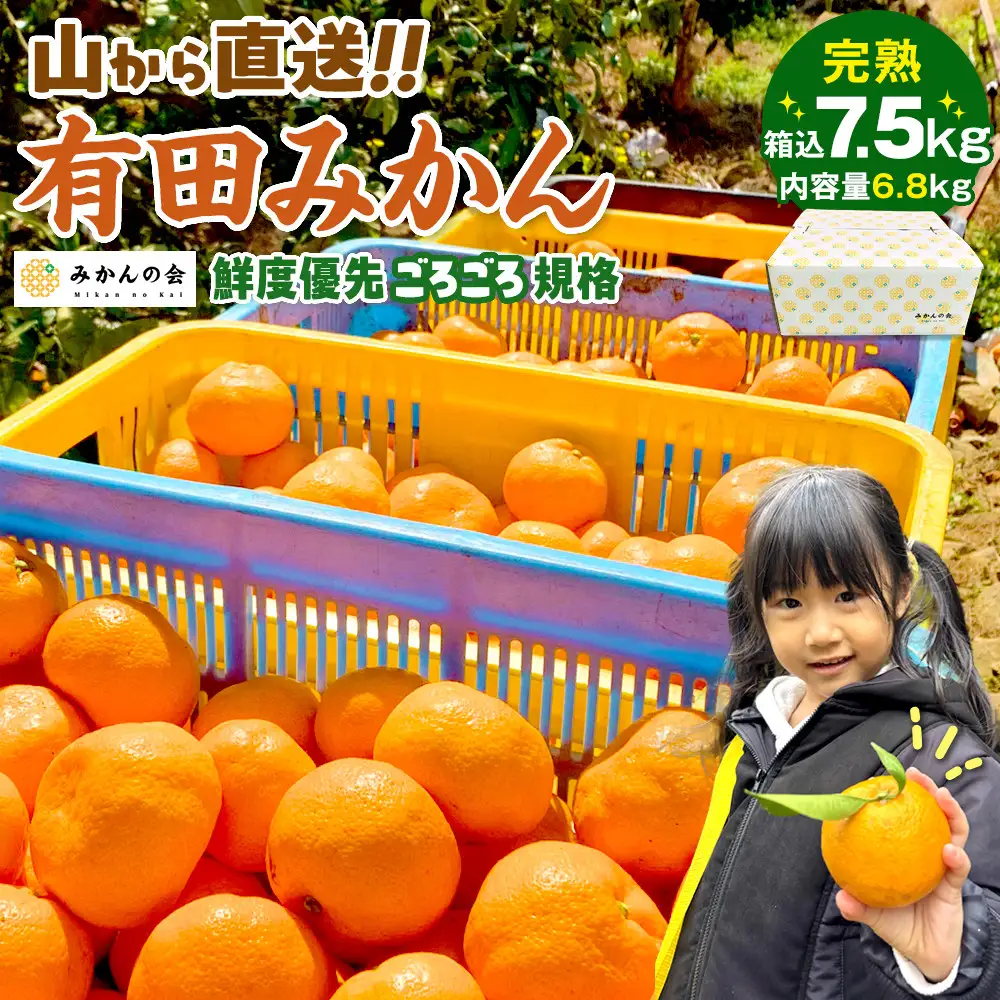 有田みかん 訳あり みかん 約6.8kg  和歌山県産