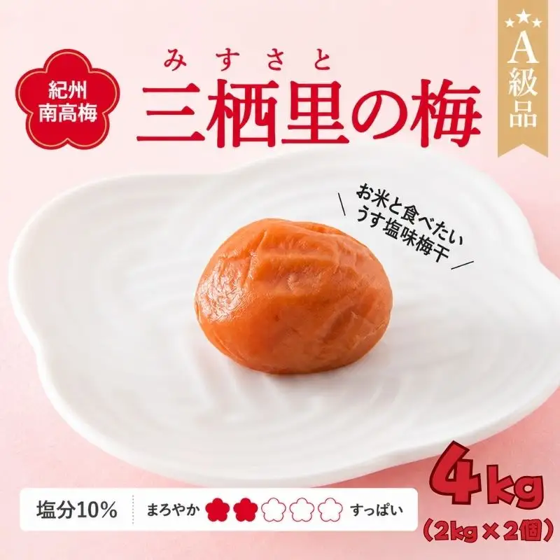 紀州南高梅　三栖里の梅（塩分10%）　4kg(2kg×2個）  / 田辺市 紀州南高梅 南高梅 梅干し 梅干 梅  肉厚 お米 おにぎり 焼酎 梅酒 健康 【ske041-2】