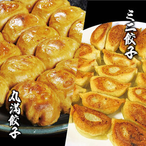 焼餃子ミニセット（MM+）焼餃子7包み（14人前）・ミニ餃子7包み（14人前） ※着日指定不可 _CO19