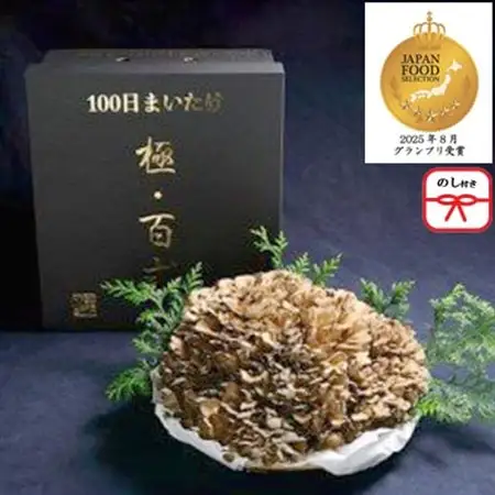 【のし付き】100日まいたけ 極百式　2kg以上の1株づくり【配送不可地域：離島・沖縄県】【1430228】