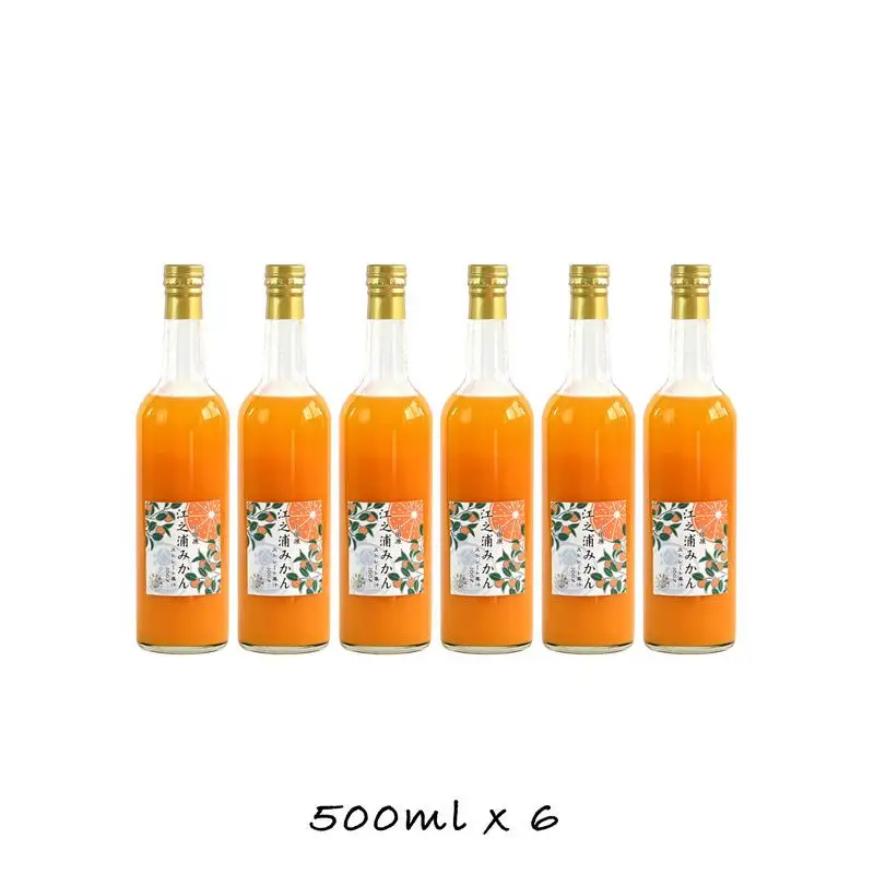 小田原産江之浦みかん１００％ストレートジュース５００ml６本 【みかんジュース みかんジュース 神奈川県 小田原市 】
