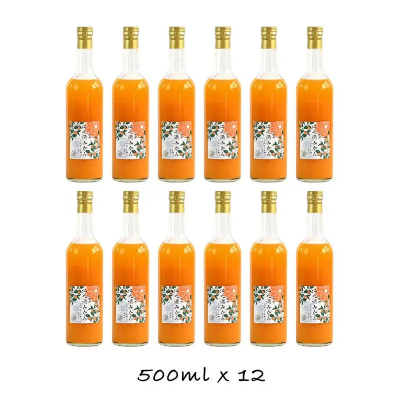 小田原産江之浦みかん１００％ストレートジュース５００ml１２本 【みかんジュース みかんジュース 神奈川県 小田原市 】