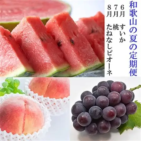 【発送月固定定期便】和歌山の夏の人気フルーツ定期便 全3回【配送不可地域：離島・北海道・沖縄県】【4004345】
