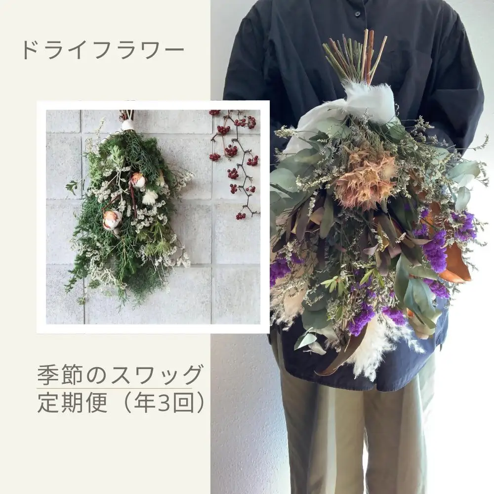 ドライフラワー季節の花定期便（年3回）（白・グリーン、ピンク、おまかせ）の3種よりランダムにお届け  XY003