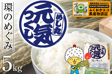 米 特別栽培米「環のめぐみ」5㎏ AI001