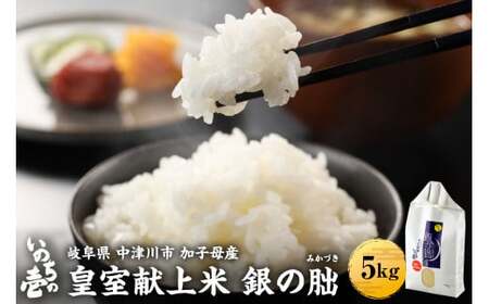 ＜テレビで紹介されました！＞令和7年度 皇室献上米『銀の朏』5kg 中津川市加子母産 栽培期間中化学肥料不使用 米 お米 コメ ごはん ご飯 食品 F4N-1864