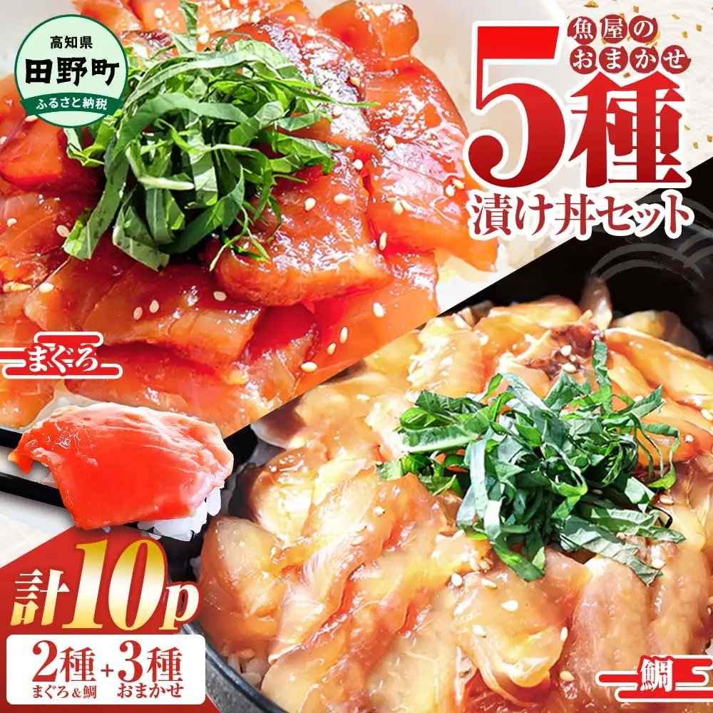 これが魚屋の漬け丼だ！海鮮５種食べ比べセット《訳あり》 5種×2P 合計10パック 各80g