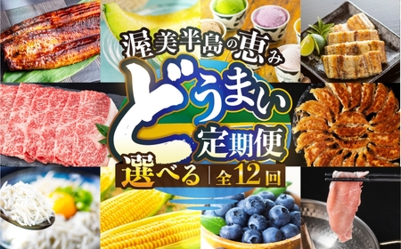 【定期便】どうまい定期便 12回 おまかせコース