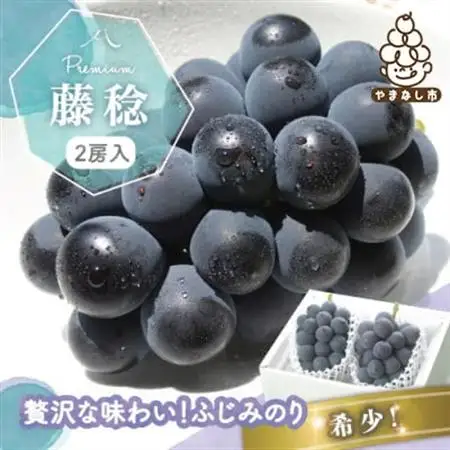 【2026年発送】藤稔 ふじみのり (種なし) 2房 約1kg 話題の大粒ぶどう【配送不可地域：離島・沖縄県】【1289158】