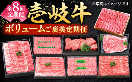 【全8回定期便】 特選 壱岐牛 月イチ ご褒美 定期便  （ボリューム）《壱岐市》【太陽商事】[JDL095] ステーキ サーロイン モモ 焼肉 すき焼き しゃぶしゃぶ 380000