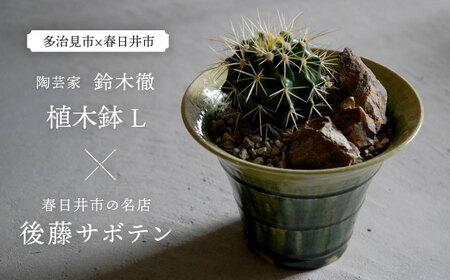 多治見市×春日井市コラボ 【美濃焼】 陶芸家「鈴木徹」 植木鉢 L × 【日本有数のサボテンの生産地】 春日井市の名店 後藤サボテン 【井澤コーポレーション】[TBP178]