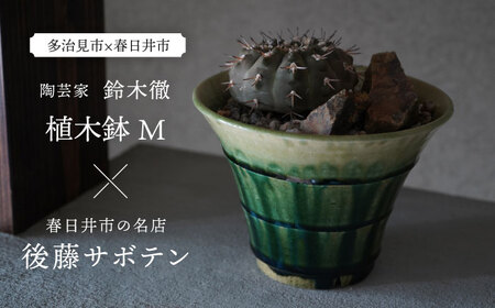 多治見市×春日井市コラボ 【美濃焼】 陶芸家「鈴木徹」 植木鉢 M × 【日本有数のサボテンの生産地】 春日井市の名店 後藤サボテン 【井澤コーポレーション】[TBP179]