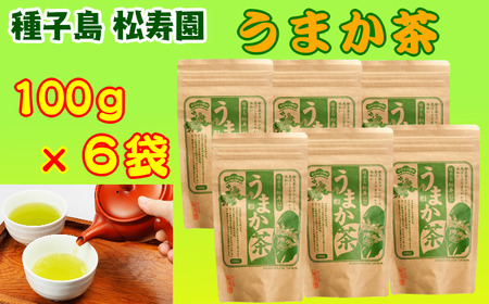 種子島 松寿園 うまか茶 100g ×6袋　NFN335【375pt】 