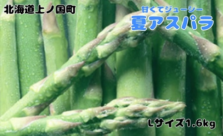 【2026年夏発送】寅福菜園の朝採り夏アスパラ　L（1.6㎏）　朝採れ　農家直送　新鮮　グリーンアスパラ　夏野菜　旬野菜　シャキシャキ　とれたて　北海道産