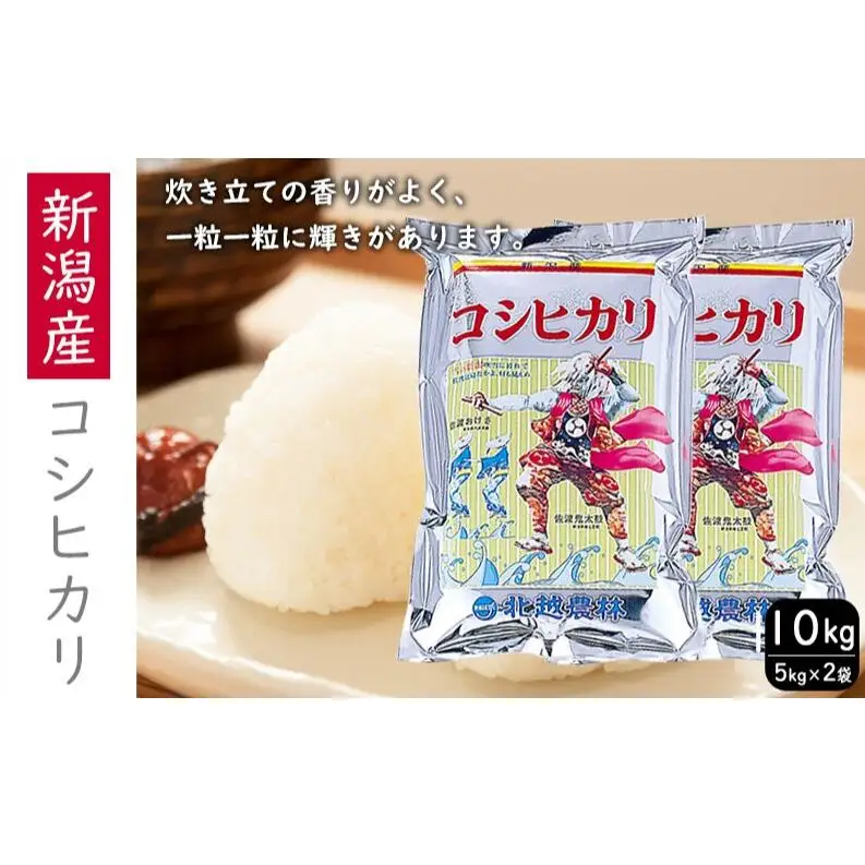 新潟産コシヒカリ10kg コシヒカリ 10kg 米 お米 こめ コメ おこめ 新潟 