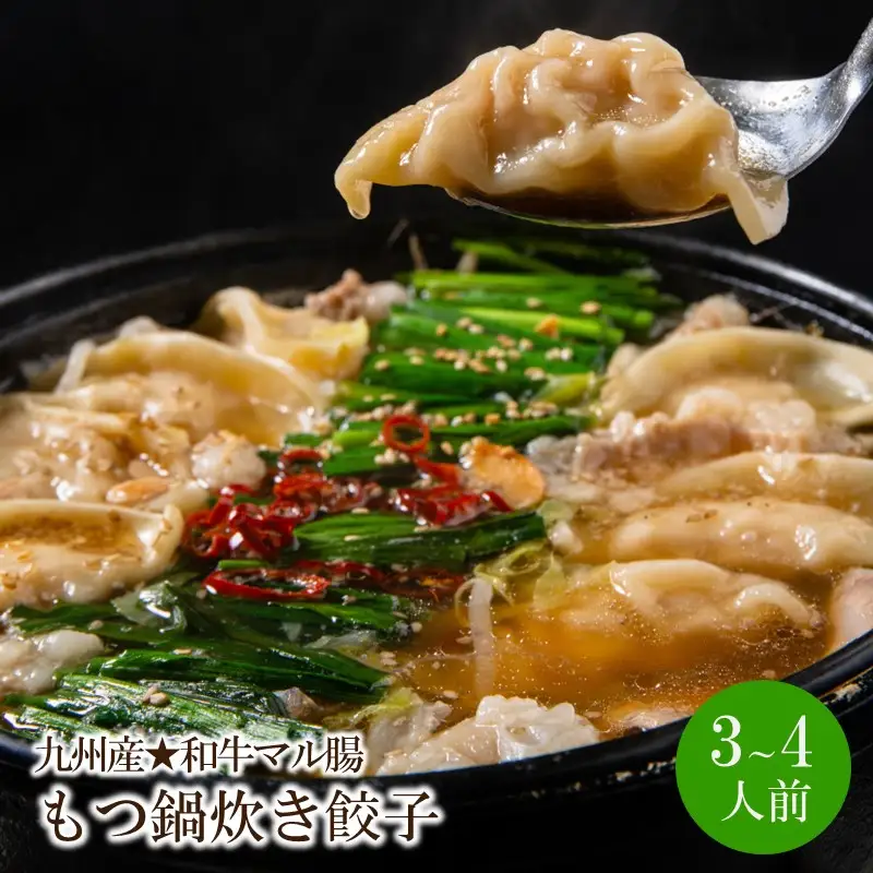 ぶどうの樹　九州産★和牛マル腸　もつ鍋（炊き餃子付き）あごだし醤油 （3～4人前）【066-0001】