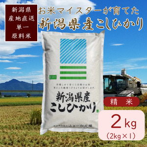 令和7年産 お米マイスターが育てた上越産コシヒカリ2kg(2kg×1) 白米　精米