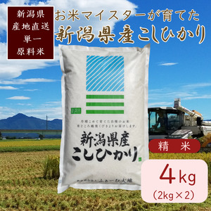 令和7年産 お米マイスターが育てた上越産コシヒカリ4kg(2kg×2) 白米　精米