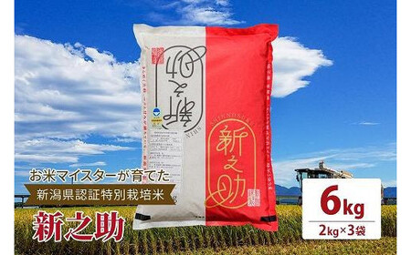 令和7年産お米マイスターが育てた新潟県認証特別栽培米「新之助」上越頸城産 6kg(2kg×3)精米