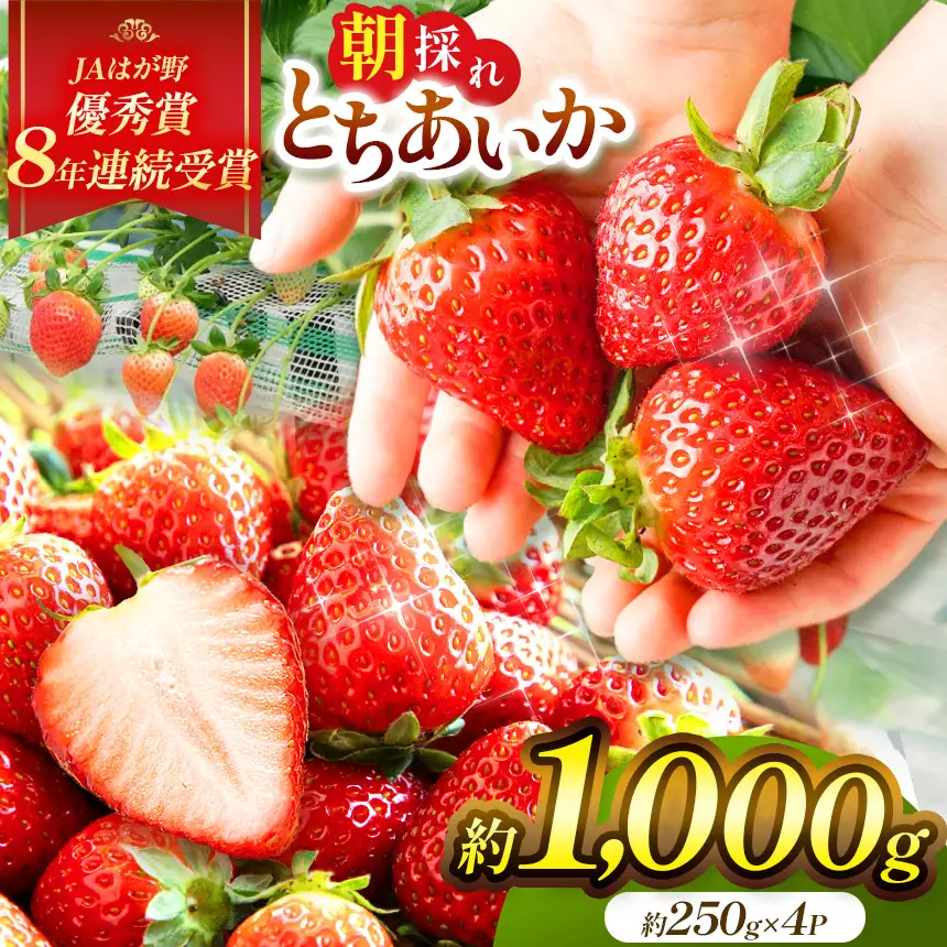 【2027年 先行予約】1月発送分 朝採れいちご とちあいか 約1,000g