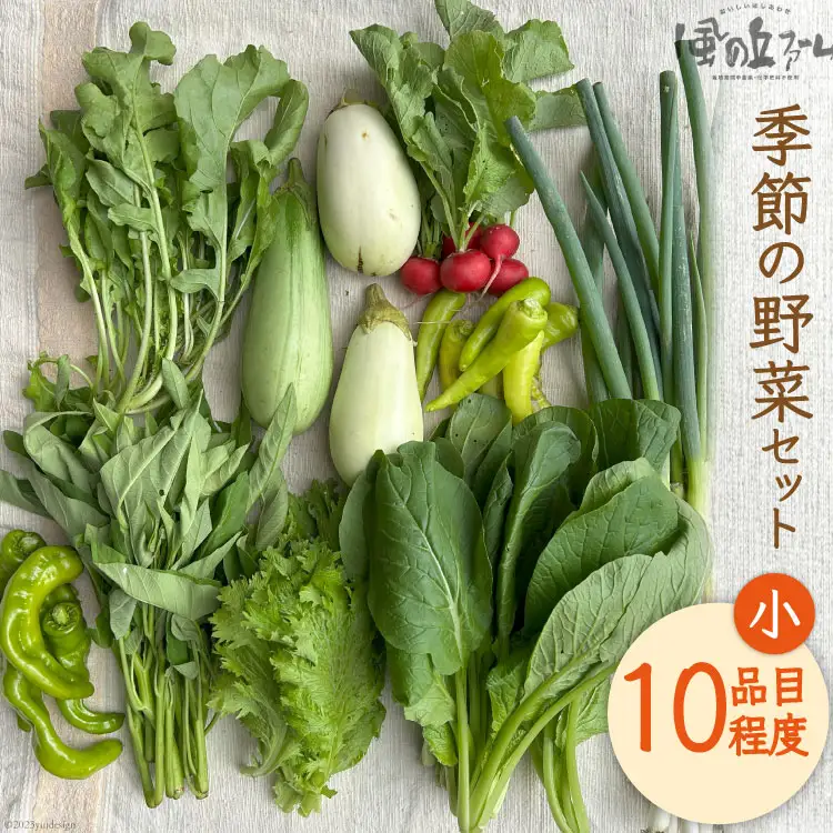 野菜セット 10種 詰め合わせ [風の丘ファーム 埼玉県 小川町 205]