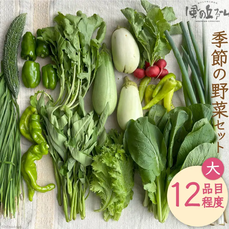 季節の野菜セット大 [ 風の丘ファーム 埼玉県 小川町 206]