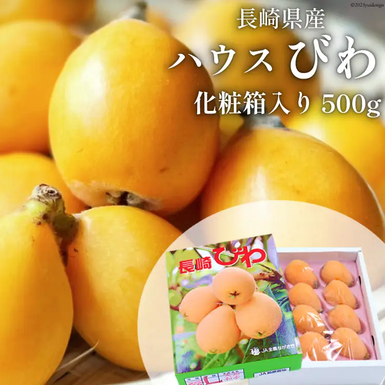 BH093 【期間限定発送】長崎県産 ハウスびわ 約500g 化粧箱入り [長崎県 島原市]