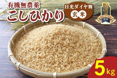 [数量限定／令和7年度米] こしひかり《日光ダイヤ舞／玄米5kg》 [0934]