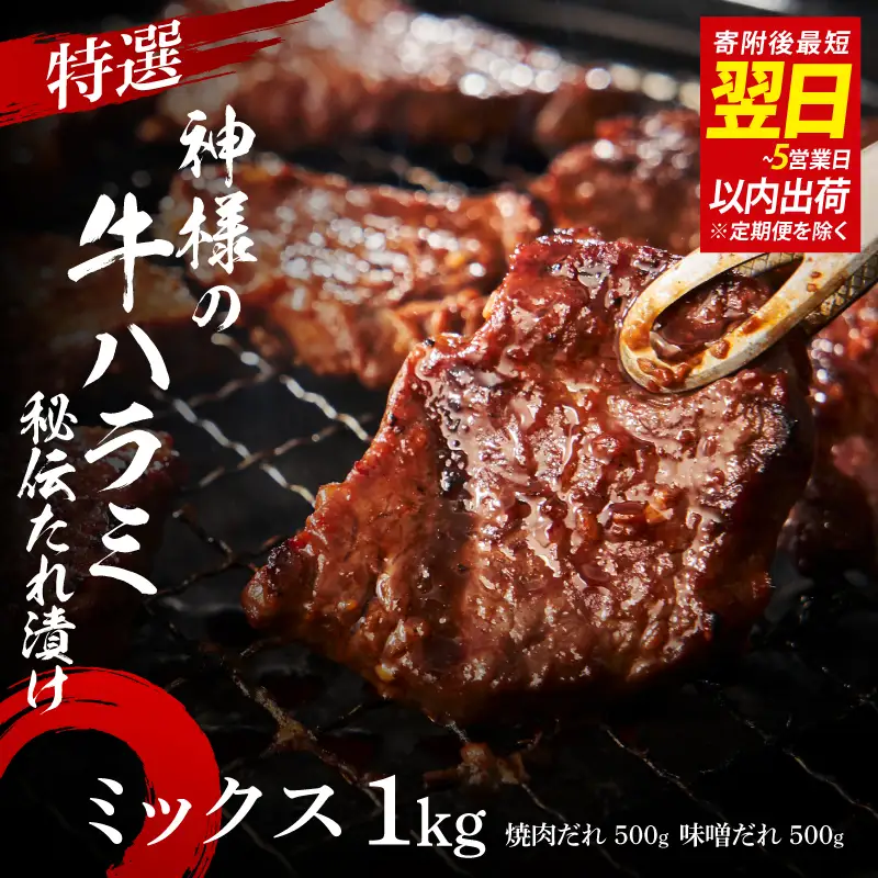 特選神様の牛ハラミ 秘伝たれ漬け 1kg（焼肉だれ1p＋味噌だれ1p）