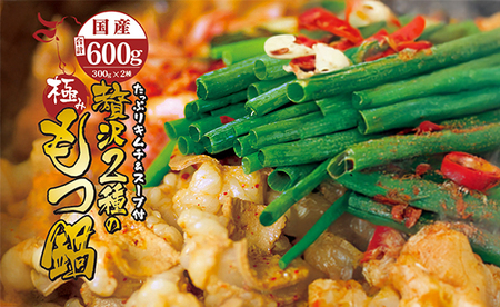 国産牛 贅沢2種のもつ鍋 (チゲ鍋) キムチ付 合計600g (3～5人前) もつ鍋 チゲ鍋