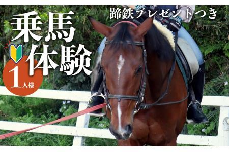 体験乗馬 ( 蹄鉄 プレゼントつき) | 乗馬 体験 運動 ふれあい 奈良県 平群町