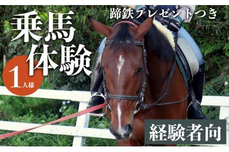 ビジター【初級】( 蹄鉄 プレゼントつき) | 乗馬 体験 運動 ふれあい 奈良県 平群町