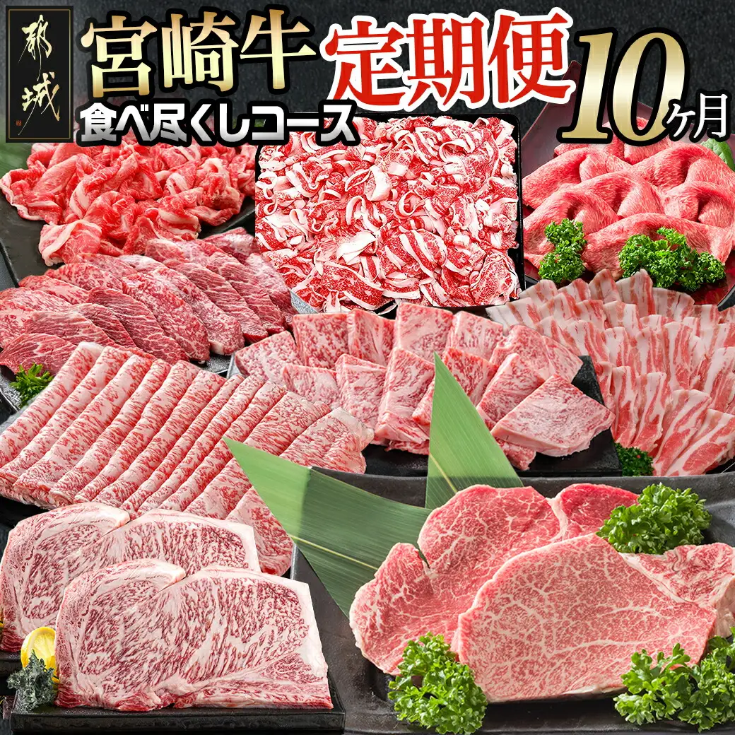 迷ったらコレ!宮崎牛食べ尽くし定期便(10ヵ月)〔T120（10）-0101〕_(都城市)A5 5等級 牛肉 バラ 赤身 サーロインステーキ ヒレステーキ ロース 焼き肉 しゃぶしゃぶ すき焼き スライス 切り落とし