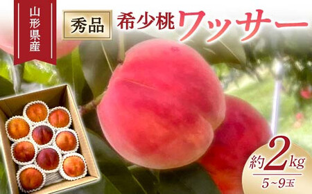 【2026年度先行予約】希少桃 ワッサー 約2kg 5玉～9玉 FSY-1026
