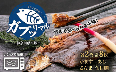 干物 骨ごと食べられる ガブッリマル | 干物