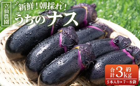 立仙農園 うちのナス 合計3kg【なす なす なす なす なす】 rs-0002