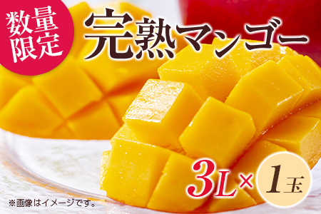 数量限定 完熟マンゴー 3L×1玉 フルーツ 果物 くだもの 国産_C166-26
