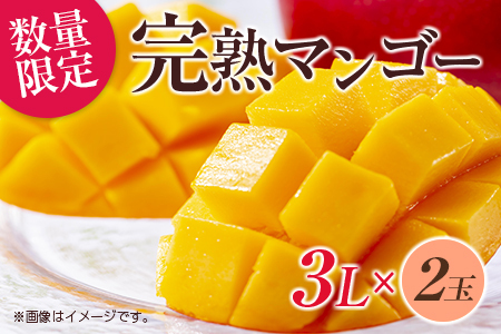 数量限定 完熟マンゴー 3L×2玉 フルーツ 果物 くだもの 国産_DD8-23