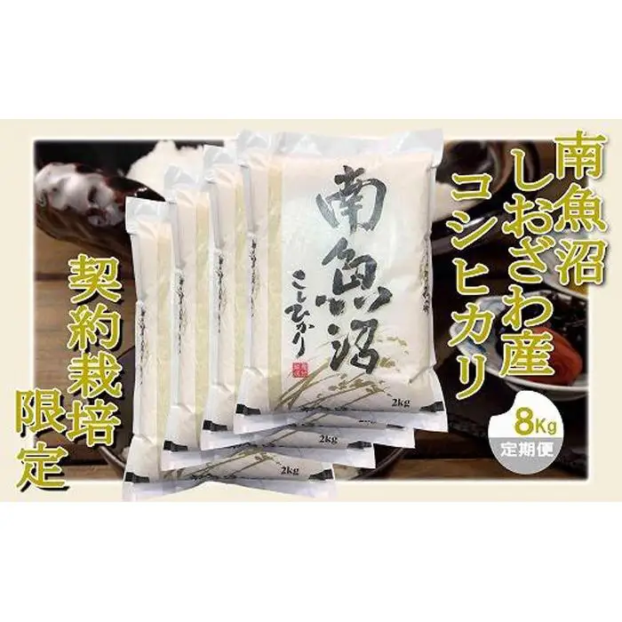 【令和7年産】【定期便 精米８Kg×３ヶ月】契約栽培限定 南魚沼しおざわ産コシヒカリ【定期便 銘柄米 ブランド米 精米 こしひかり コシヒカリ 魚沼産 新潟米 産地直送 お米 米 こめ コメ ご飯 御飯 ごはん】