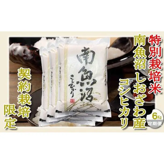 【令和7年産】【定期配送６Kg×６ヶ月】特別栽培 生産者限定  南魚沼しおざわ産コシヒカリ【定期便 銘柄米 ブランド米 精米 こしひかり コシヒカリ 魚沼産 新潟米 産地直送 お米 米 こめ コメ ご飯 御飯 ごはん】