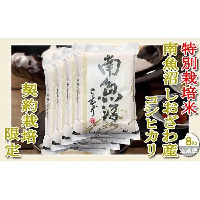 【令和7年産】【定期配送８Kg×１２ヶ月】特別栽培 生産者限定  南魚沼しおざわ産コシヒカリ【定期便 銘柄米 ブランド米 精米 こしひかり コシヒカリ 魚沼産 新潟米 産地直送 お米 米 こめ コメ ご飯 御飯 ごはん】
