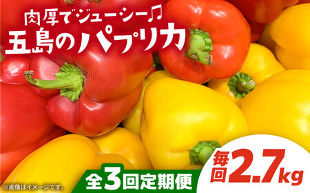 【全3回定期便】 五島のパプリカ 約2.7kg 五島市/HPIファーム [PCP004]  野菜 やさい 国産 新鮮 緑黄色野菜 産地直送 とれたて