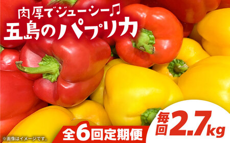 【全6回定期便】 五島のパプリカ 約2.7kg 五島市/HPIファーム [PCP005]  野菜 やさい 国産 新鮮 緑黄色野菜 産地直送 とれたて