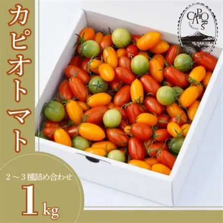 カピオトマトセレクトLサイズ(おまかせ2～3品種の詰め合わせ1kg)【1460268】
