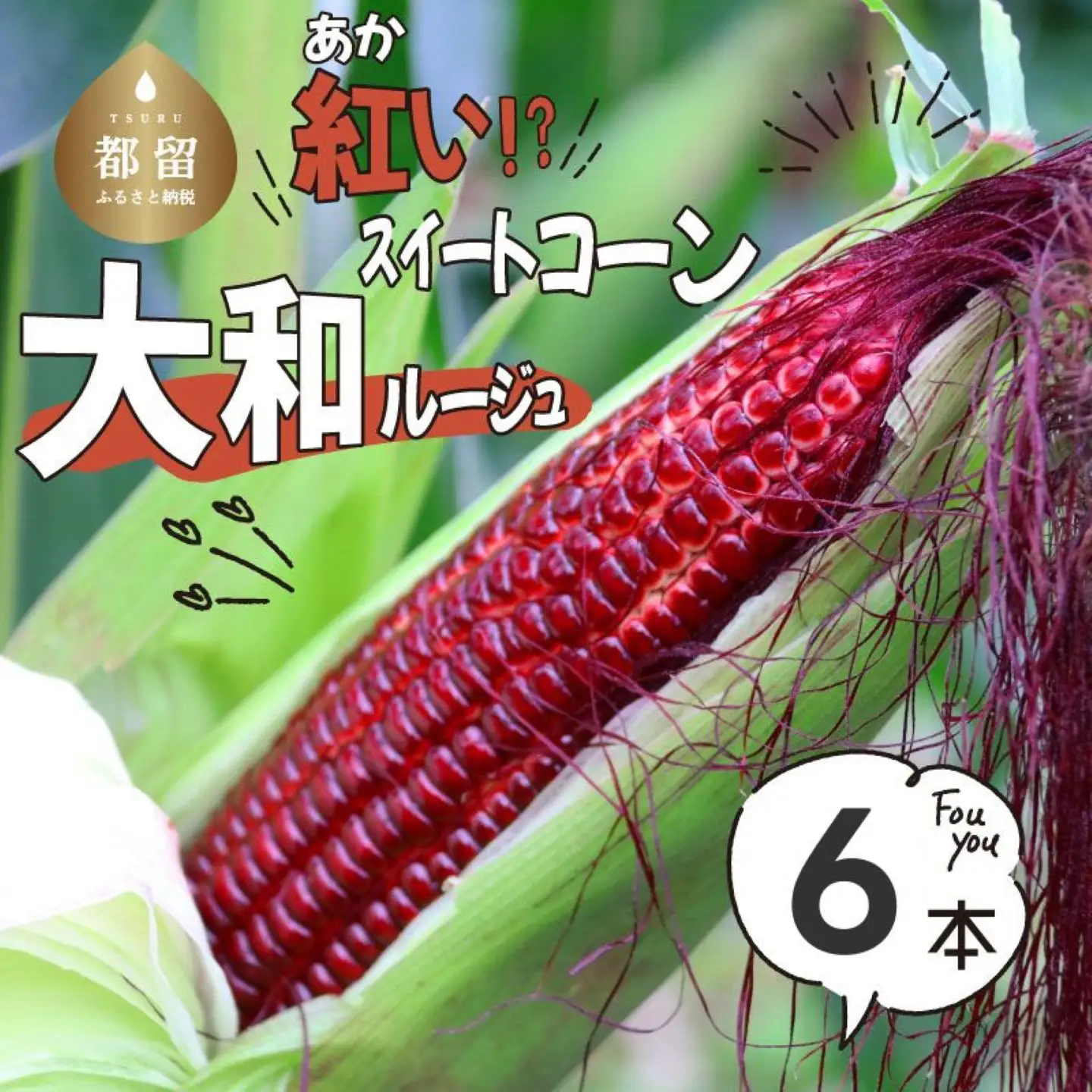 【2026年先行予約】山梨県都留市産 紅いスイートコーン 大和ルージュ｜希少な赤いとうもろこし 甘い スイートコーン トウモロコシ 産地直送 送料無料【浅田農園】