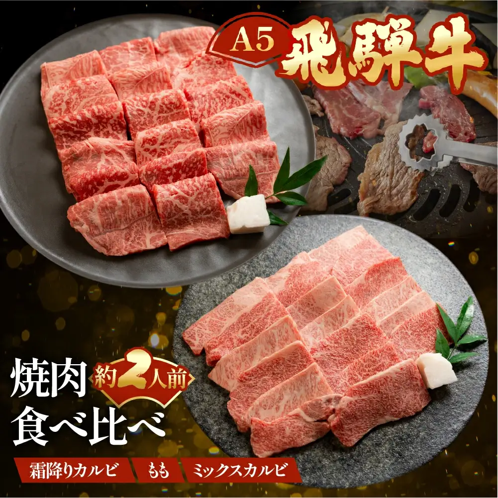 飛騨牛 食べ比べ3種セット（特選霜降りカルビ 173g・もも焼肉 139g・ミックスカルビ176g）【冷凍 真空】【11-84】