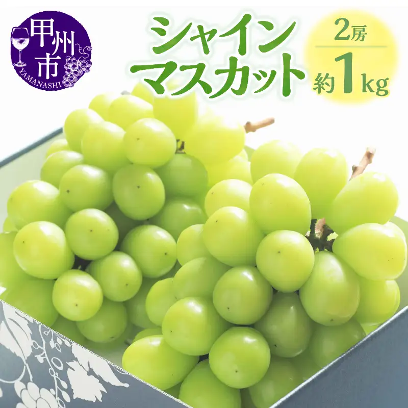 甲州市産シャインマスカット2房 約1kg 瑞々しい美味しさのまま発送します【2026年発送】（VYD）B13-885 シャインマスカット フルーツ 