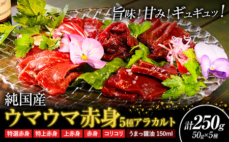 馬刺し 純国産 ウマウマ 赤身 5種 アラカルト 専用醤油付き 50g ×5種 計250g 九州食肉産業