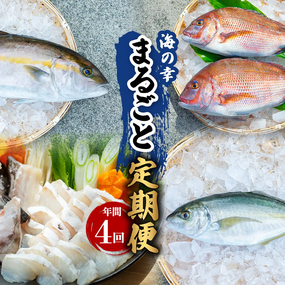 【定期便全４回】海の幸まるごと定期便 クエ くえ クエ鍋 タイ たい 鯛 カンパチ かんぱち 勘八 シマアジ しまあじ